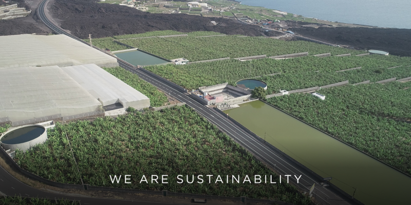 Video   We Are Sustainability